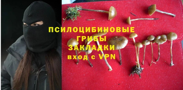 ECSTASY Пестово