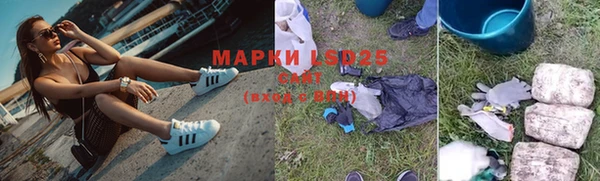 прущие грибы Переславль-Залесский