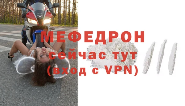 прущие грибы Переславль-Залесский
